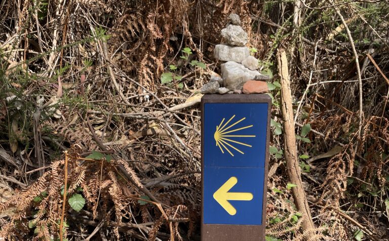 Camino Português Coastal vs Central Route – Which Should You Walk?