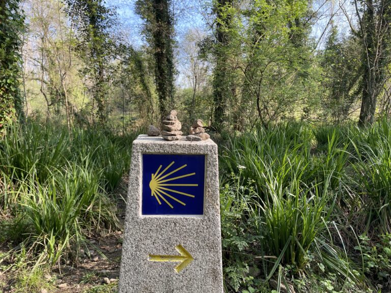 camino de santiago solo