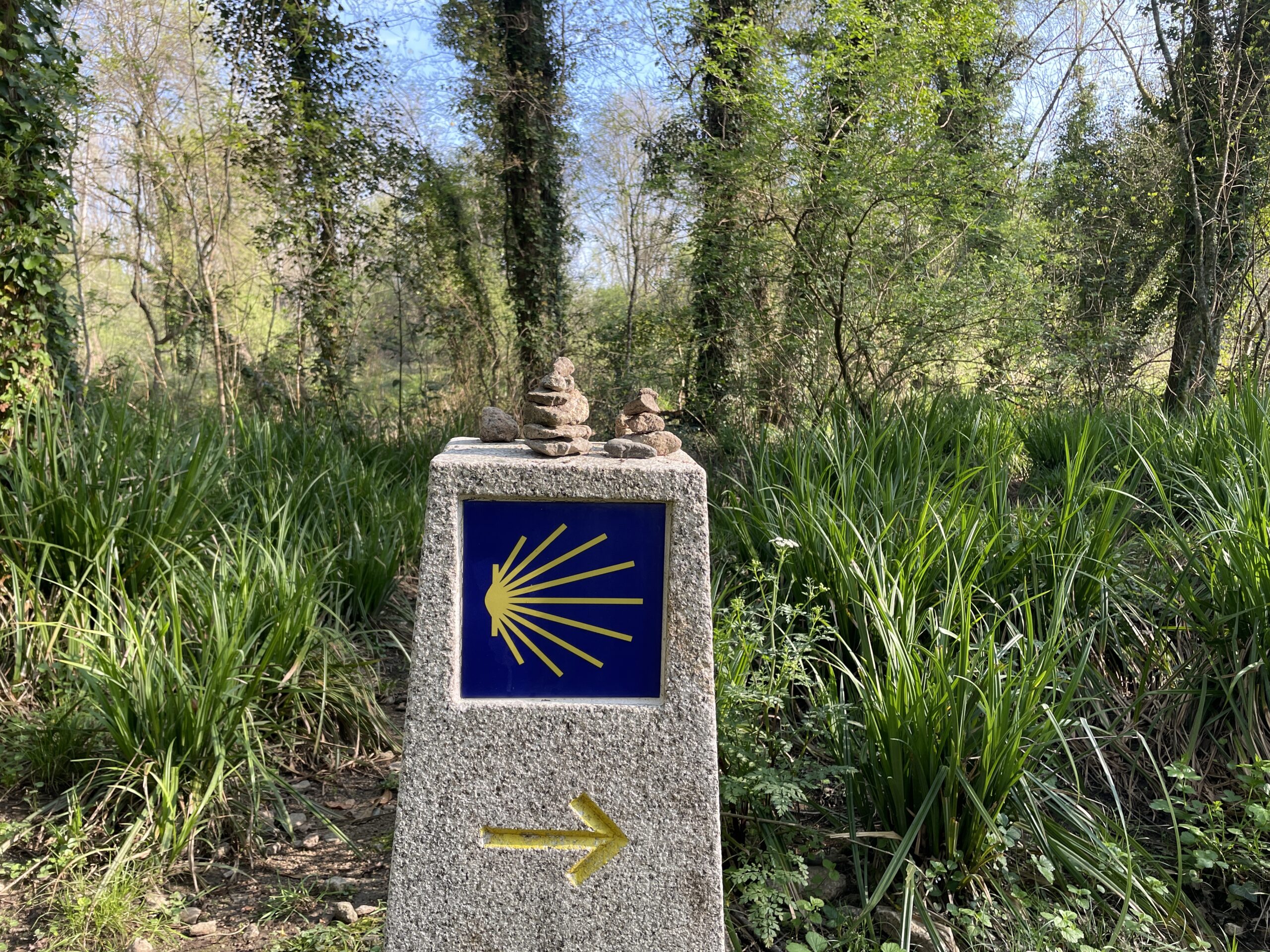 camino de santiago solo