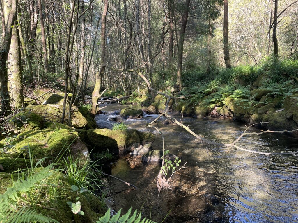 camino portugues coastal vs central route