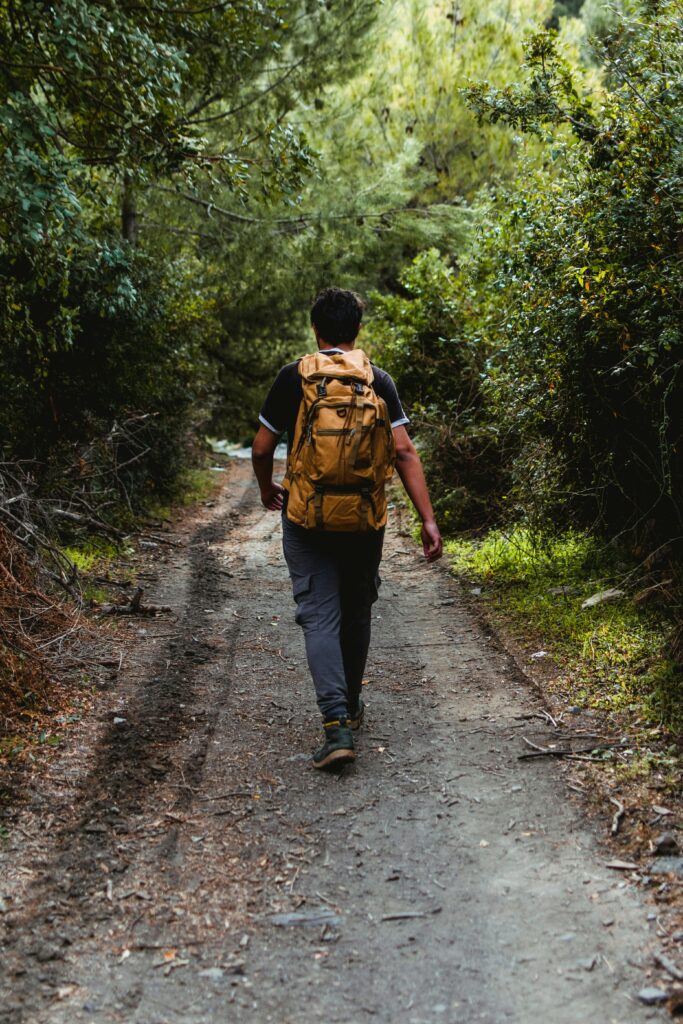 camino de santiago solo